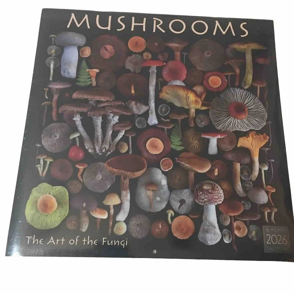 Moritz Schmid Art‎ of the Mushroom 2026 12